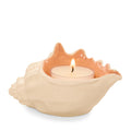 Seashell Tea Light Candle Holder (S7GYM)