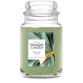 Holiday Sage® (S7MDF)