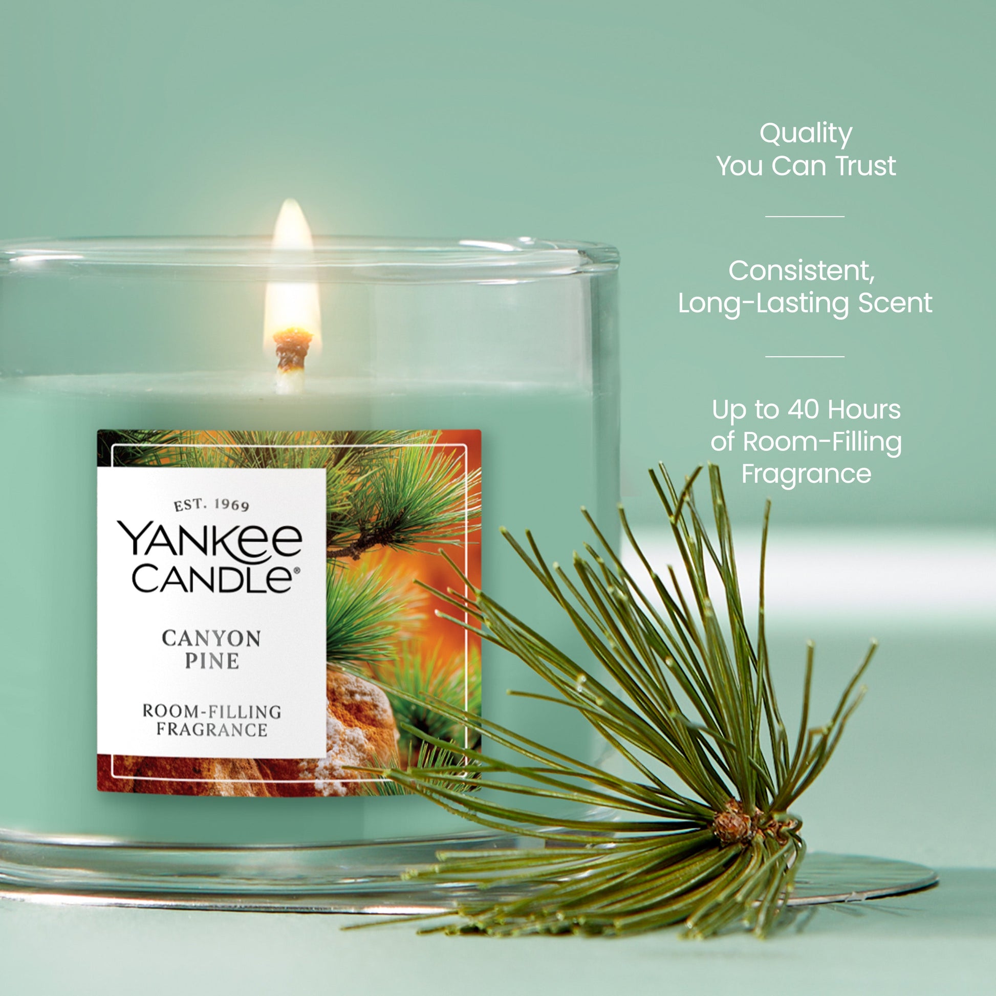 Canyon Pine