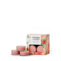 White Strawberry Bellini (S786F)