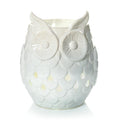 Owl (S7G4E)