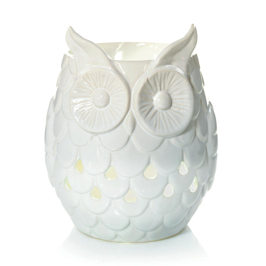 Owl (S7G4E)