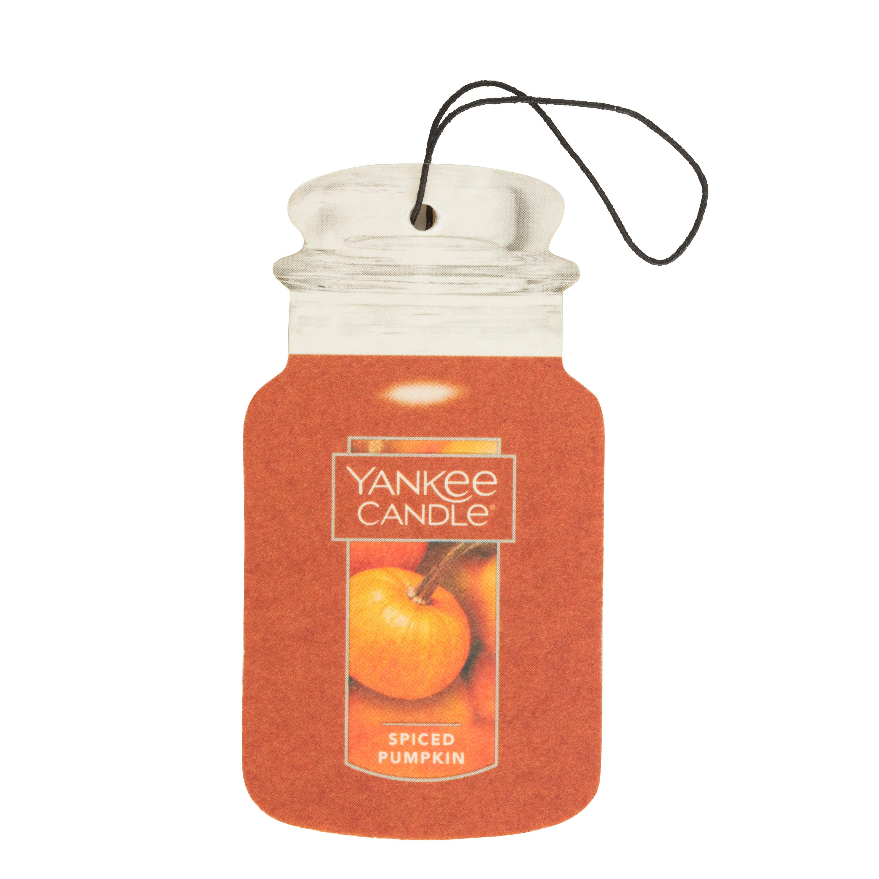 Spiced Pumpkin (S7KXV)
