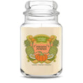 Paradise Pumpkin (S7W93)