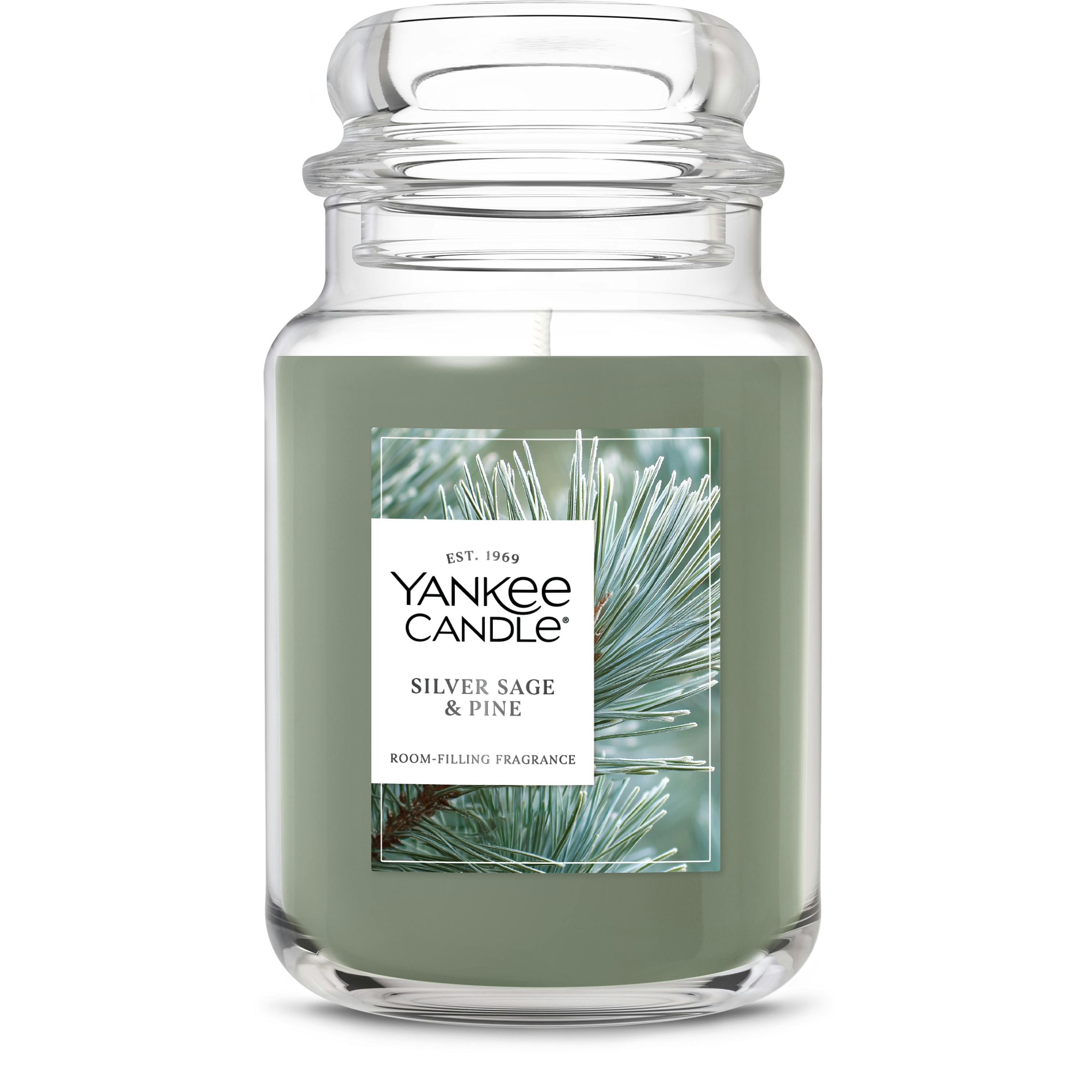 Silver Sage & Pine (S7RSN)