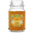 Amber Bouquet (S7BGY)