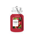 Macintosh (S7J77)