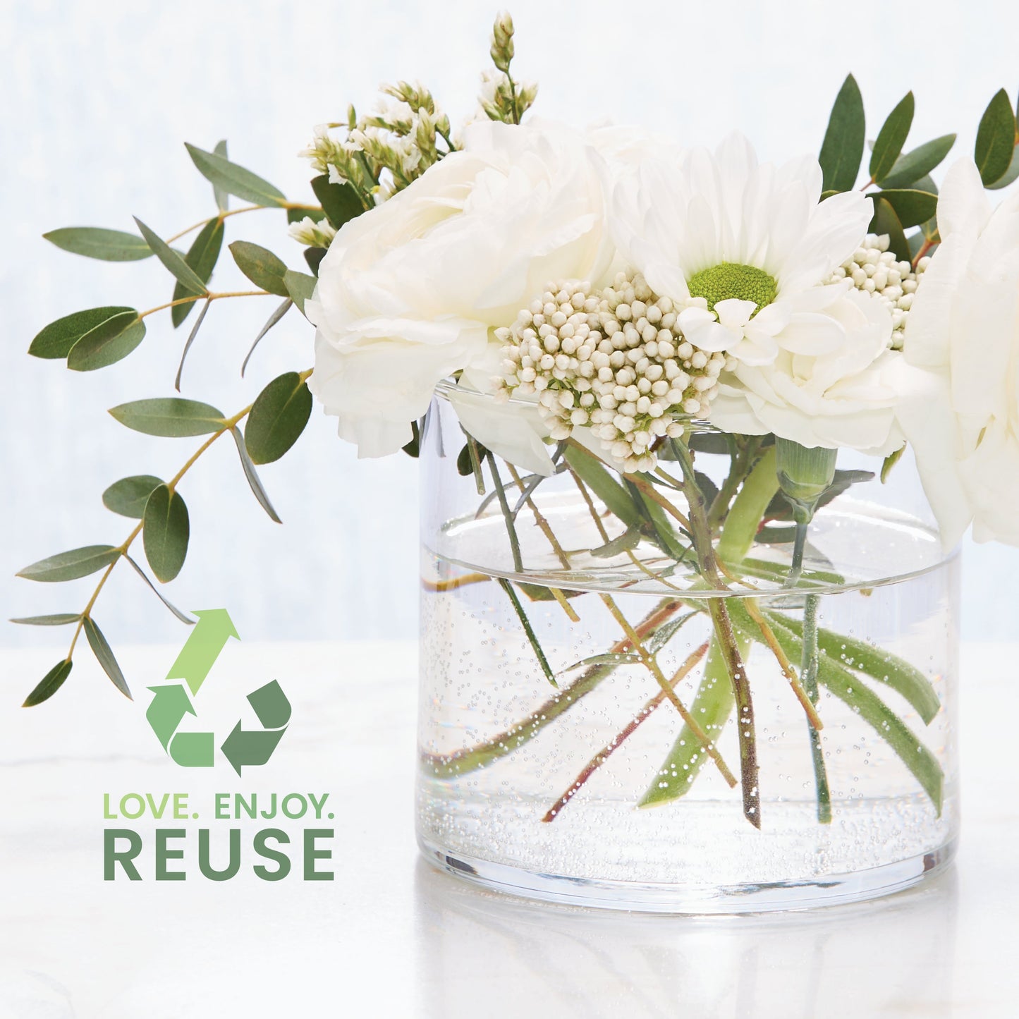 Tropical Dragonfruit
