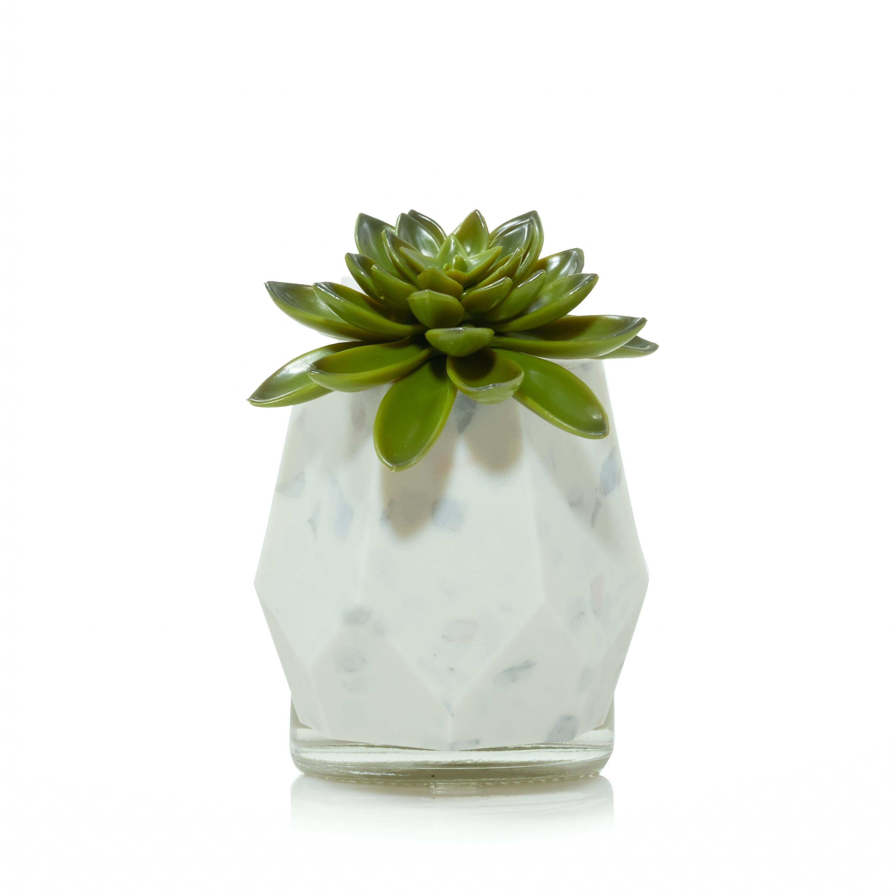 Faceted Succulent ScentPlug® Diffuser with Light (S7WTZ)