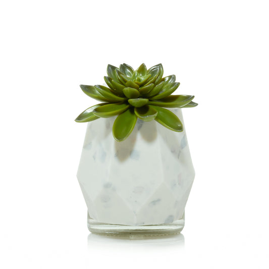 Faceted Succulent ScentPlug® Diffuser with Light (S7WTZ)