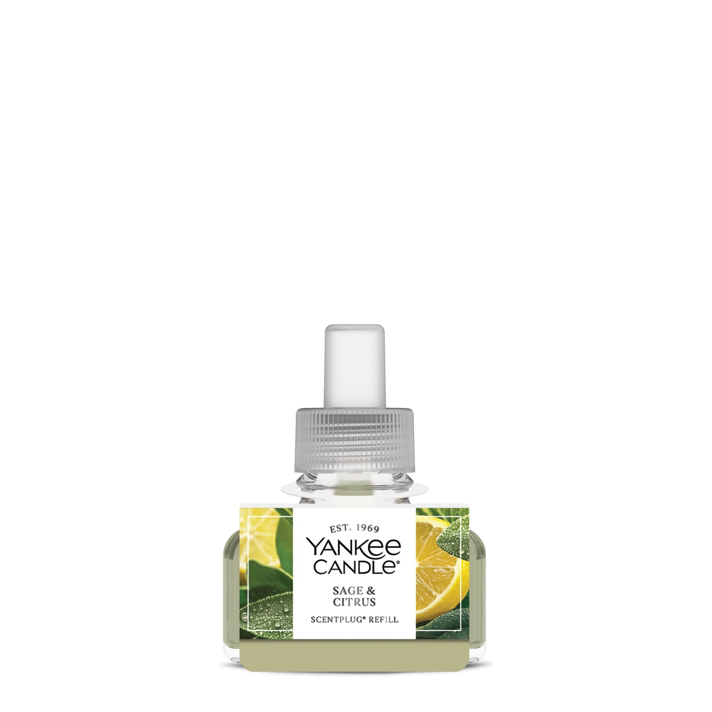 Sage & Citrus Wave 3-0208