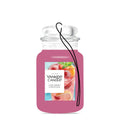 Iced Berry Lemonade (S7VN4)